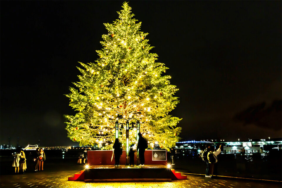 『Christmas Market in 横浜赤レンガ倉庫』のクリスマスツリー